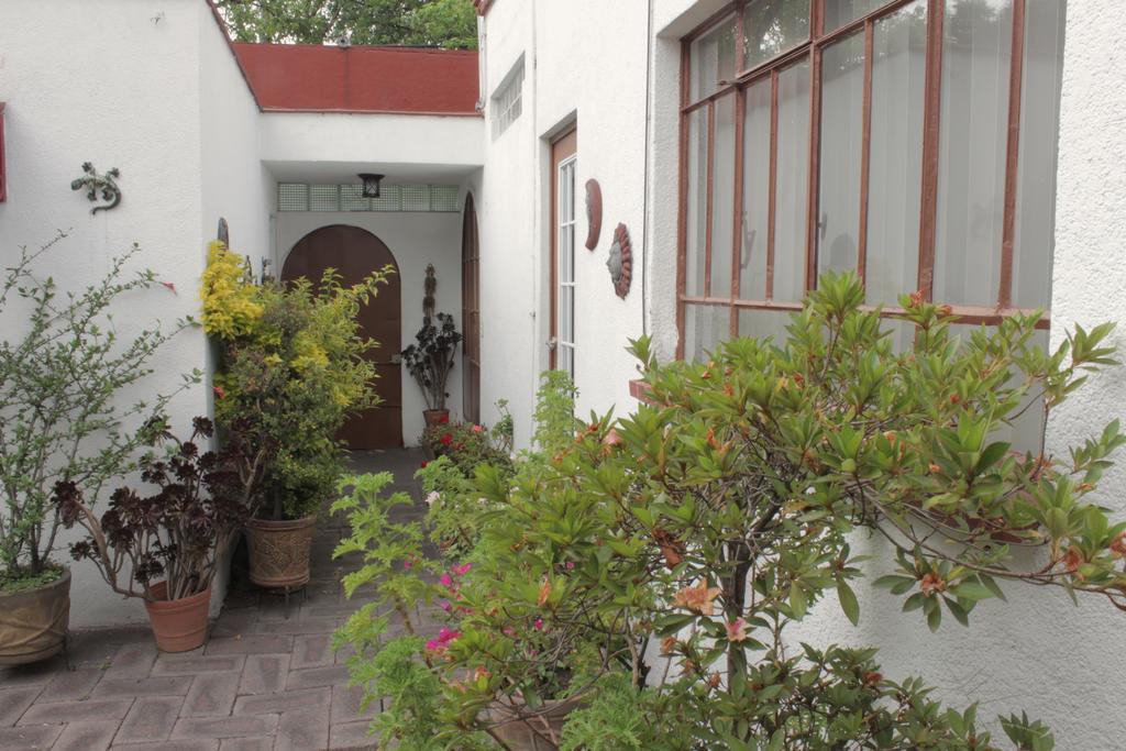 Corazoncito Coyoacan One Mexico City Exterior photo